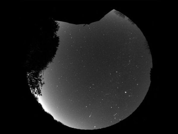 Project Hive by Lunatico Astronomia